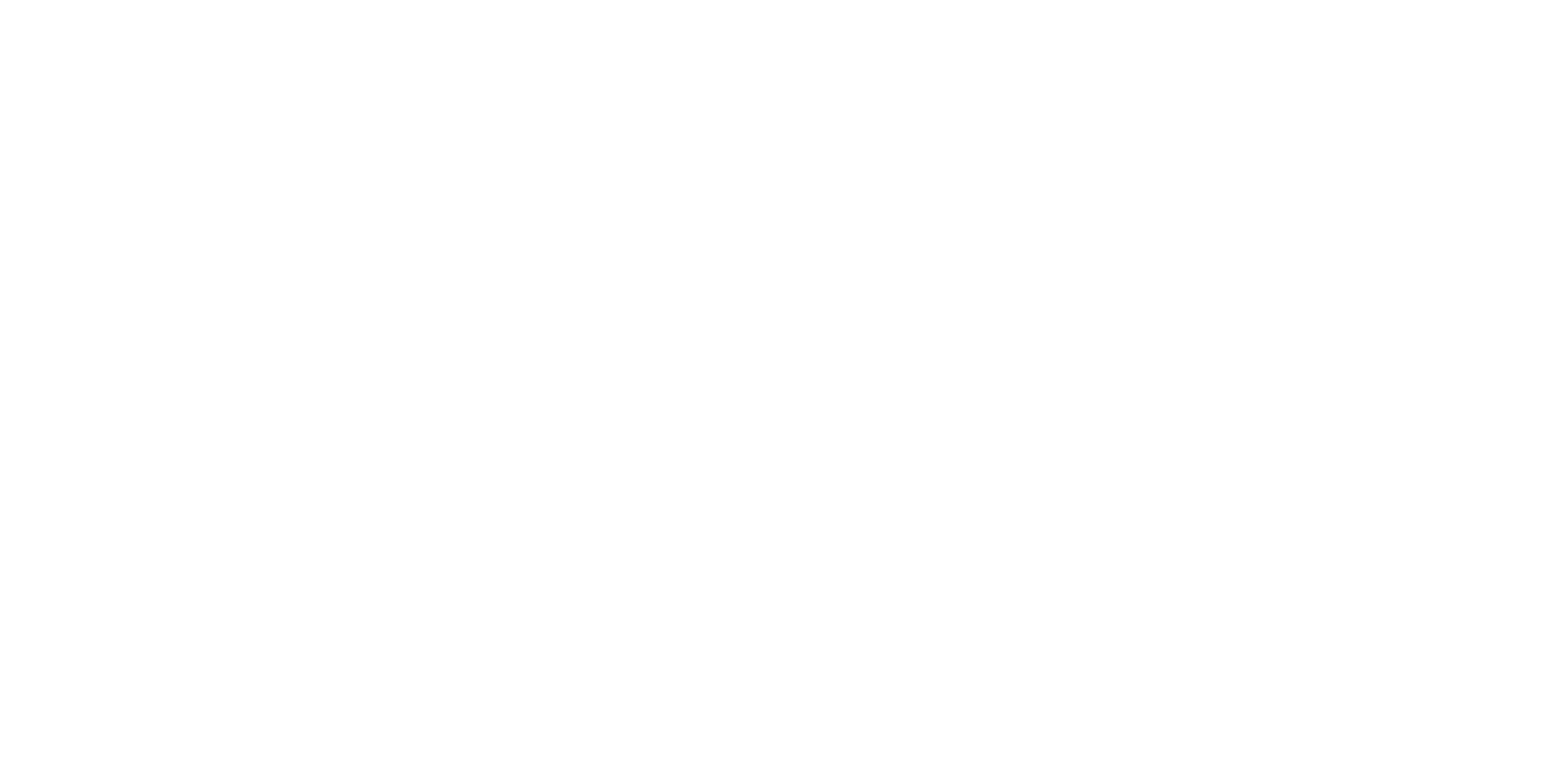 Go4Fun logo in white